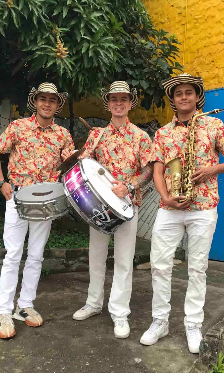 Inicio 3 papayeras en Medellín precios